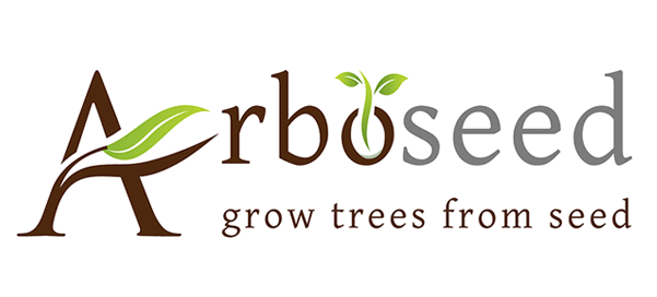 Arboseed logo projekt